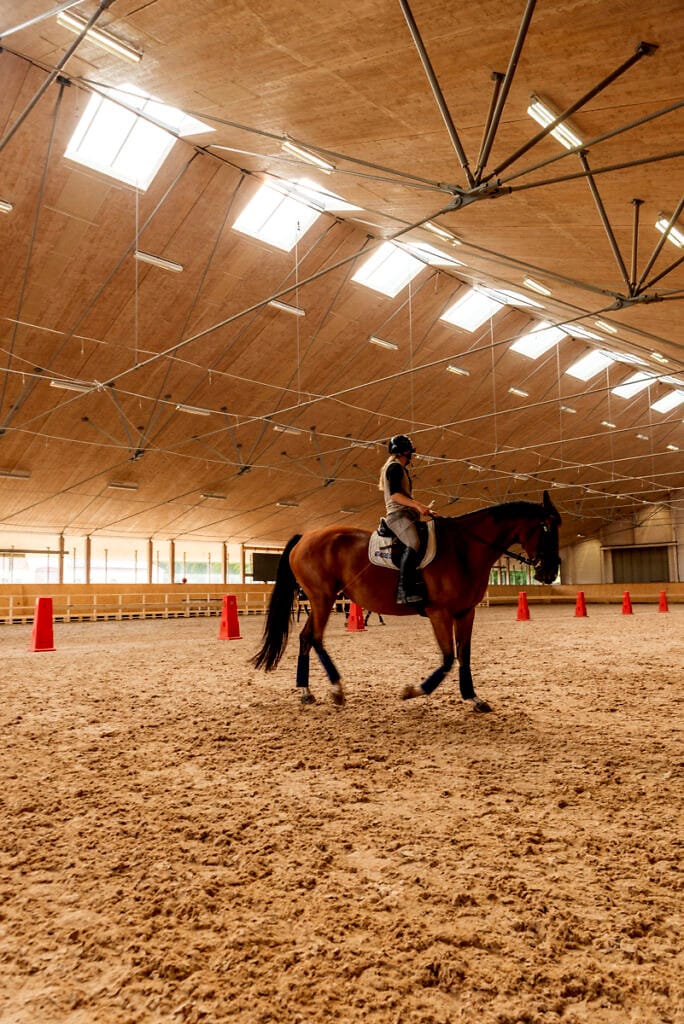 flyinge crafoordhallen glastak