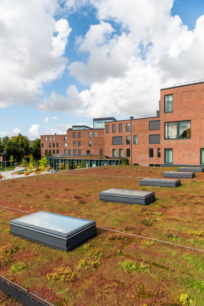 Hedda Andersson gymnasiet Lund