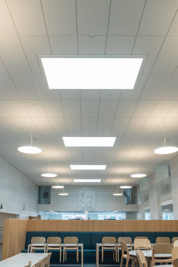 Hedda matsal min 3933