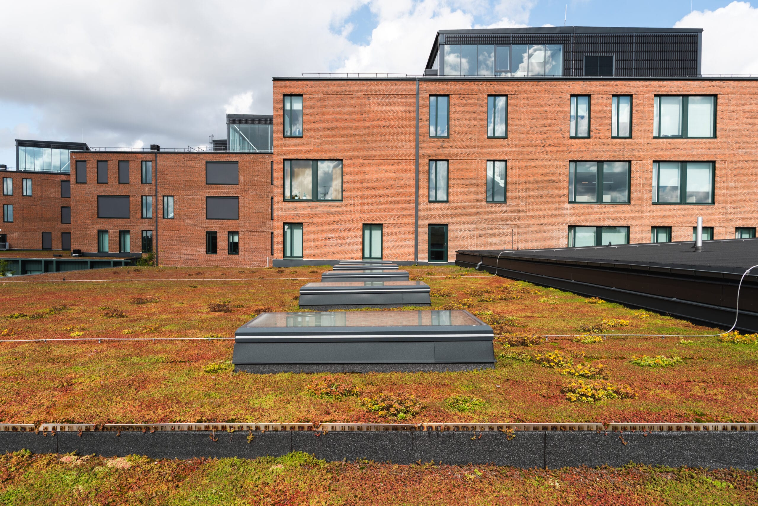 Hedda tak 3864 scaled