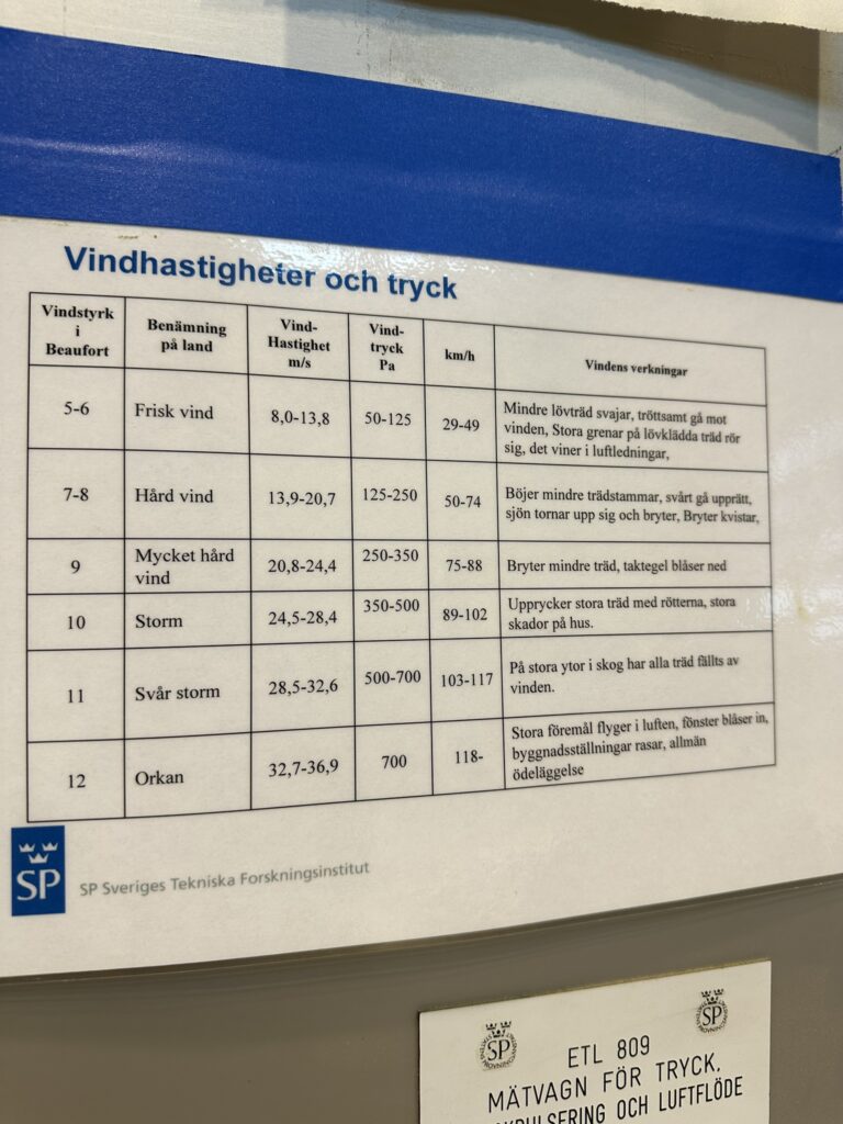 IMG 9784